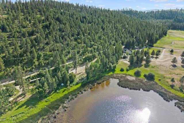 585 White Meadow Way, Colville, WA 99114 - photo 13