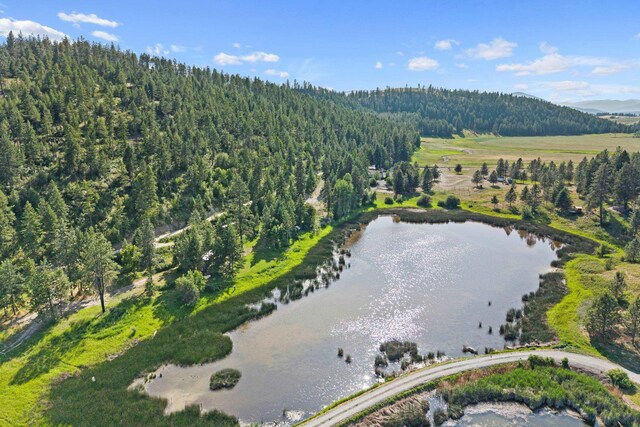 585 White Meadow Way, Colville, WA 99114 - photo 14