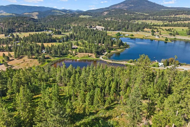585 White Meadow Way, Colville, WA 99114 - photo 15
