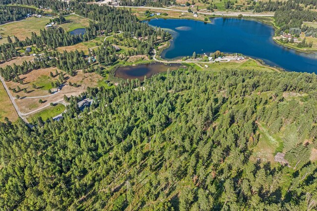 585 White Meadow Way, Colville, WA 99114 - photo 16