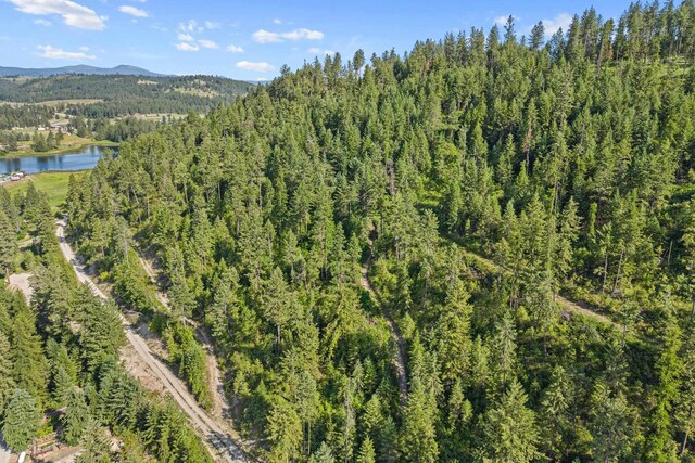 585 White Meadow Way, Colville, WA 99114 - photo 17