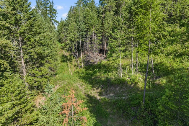 585 White Meadow Way, Colville, WA 99114 - photo 18