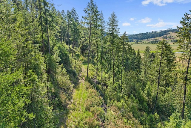 585 White Meadow Way, Colville, WA 99114 - photo 19