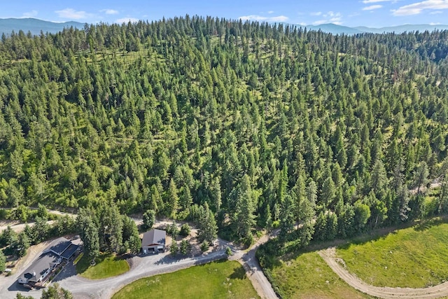 585 White Meadow Way, Colville, WA 99114 - photo 3