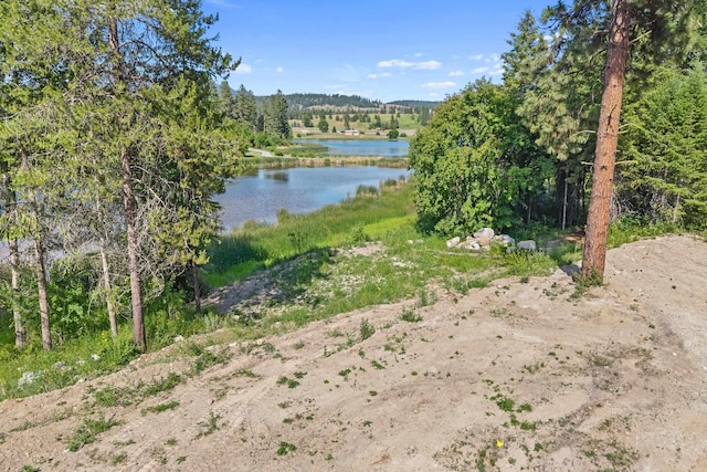 585 White Meadow Way, Colville, WA 99114 - photo 4