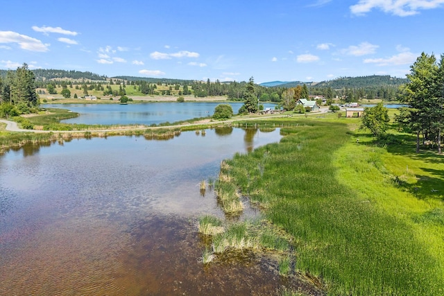 585 White Meadow Way, Colville, WA 99114 - photo 5