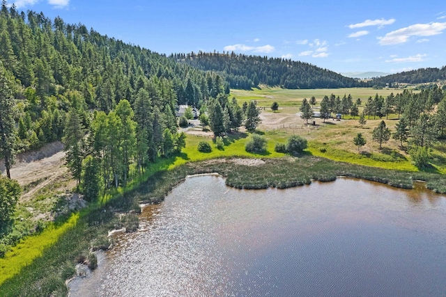 585 White Meadow Way, Colville, WA 99114 - photo 6