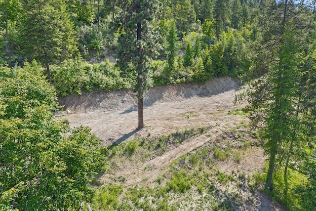 585 White Meadow Way, Colville, WA 99114 - photo 7
