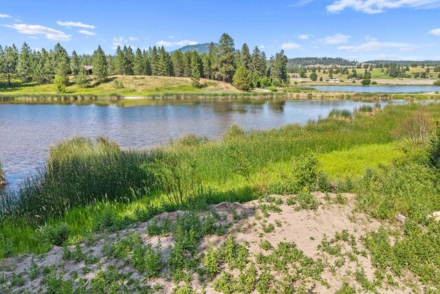 585 White Meadow Way, Colville, WA 99114 - photo 9