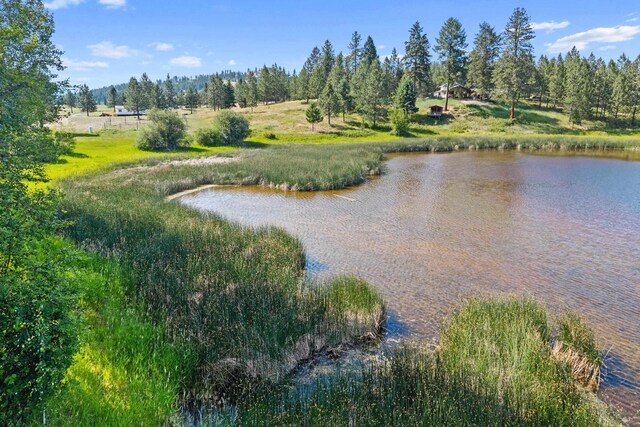 585 White Meadow Way, Colville, WA 99114 - photo 10
