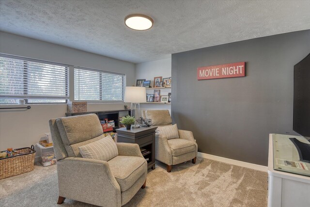 33348 Lakeview Ln, Valley, WA 99181 - sitting room featuring carpet and a textured ceiling