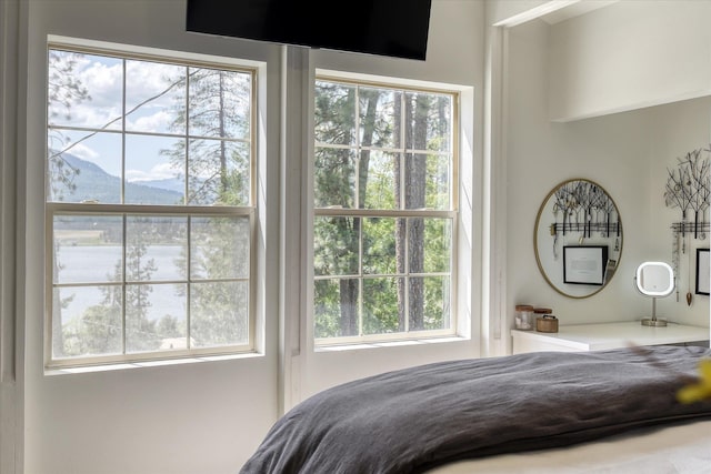 33348 Lakeview Ln, Valley, WA 99181 - bedroom with a mountain view