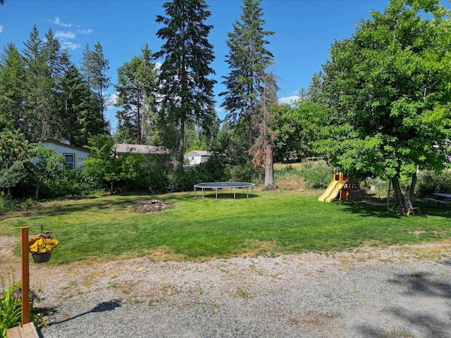 33348 Lakeview Ln, Valley, WA 99181 - view of green lawn with a trampoline, a playground, and view of wooded area