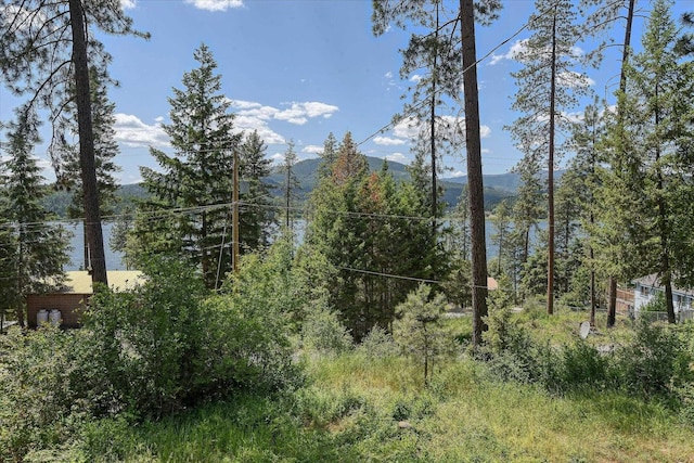 33348 Lakeview Ln, Valley, WA 99181 - view of mountain backdrop