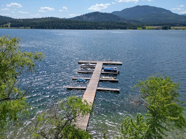 33348 Lakeview Ln, Valley, WA 99181 - dock area featuring a water and mountain view and a view of trees