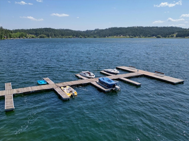 33348 Lakeview Ln, Valley, WA 99181 - dock area with a wooded view and a water view