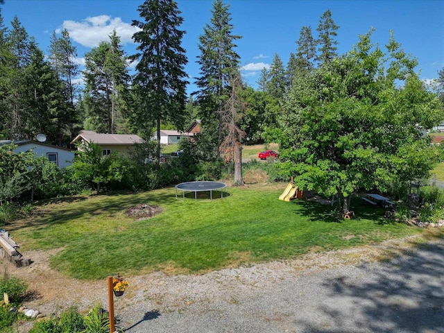 33348 Lakeview Ln, Valley, WA 99181 - view of green lawn featuring a trampoline and a playground