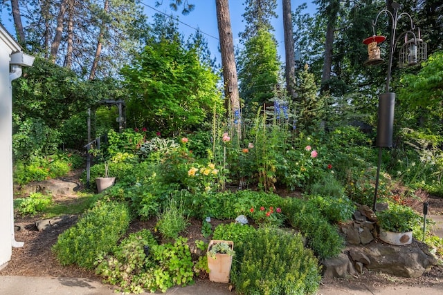 203 W 21st Ave, Spokane, WA 99203 - view of yard