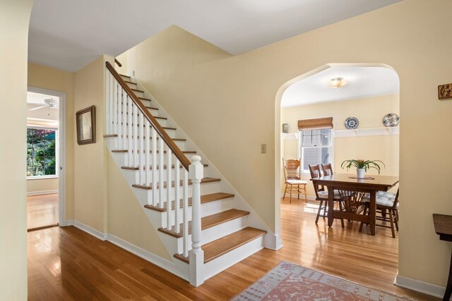 203 W 21st Ave, Spokane, WA 99203 - stairs featuring arched walkways, wood finished floors, healthy amount of natural light, and ceiling fan