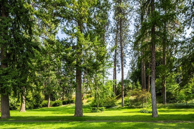 203 W 21st Ave, Spokane, WA 99203 - view of community with a lawn