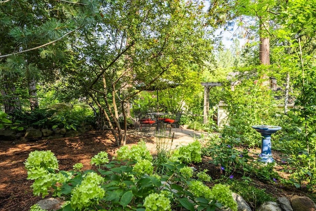 203 W 21st Ave, Spokane, WA 99203 - view of yard