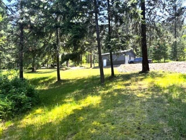 1599 Coyote Way, Evans, WA 99126 - view of grassy yard
