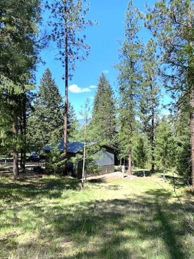1599 Coyote Way, Evans, WA 99126 - view of green lawn