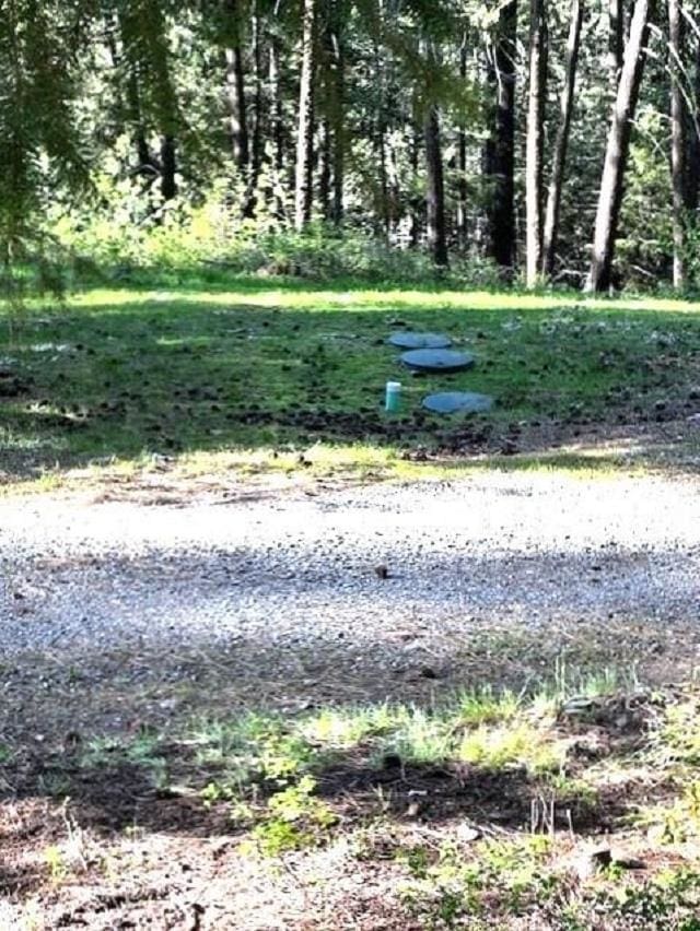 1599 Coyote Way, Evans, WA 99126 - view of yard