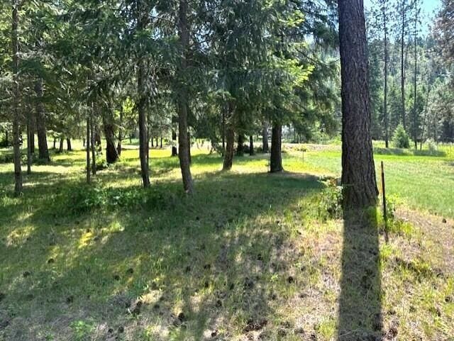 1599 Coyote Way, Evans, WA 99126 - view of nature