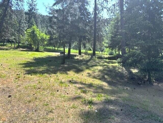 1599 Coyote Way, Evans, WA 99126 - view of tree filled area