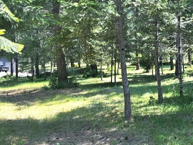 1599 Coyote Way, Evans, WA 99126 - view of yard