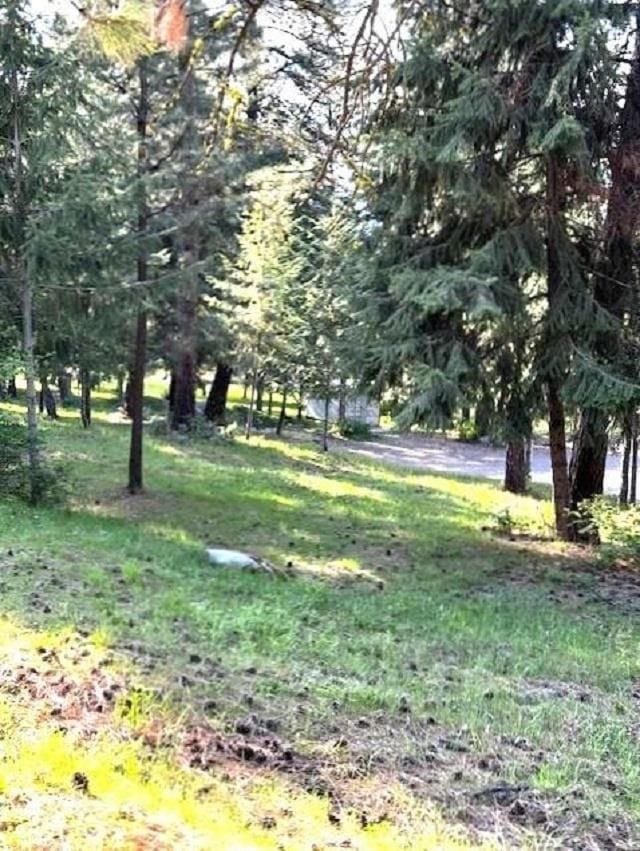 1599 Coyote Way, Evans, WA 99126 - view of yard