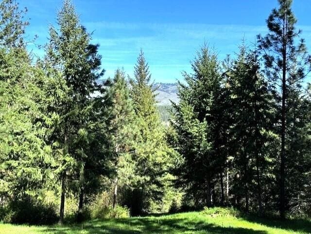 1599 Coyote Way, Evans, WA 99126 - view of tree filled area