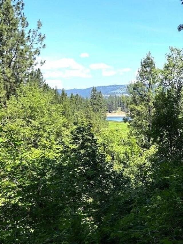 1599 Coyote Way, Evans, WA 99126 - view of wooded area featuring a water view