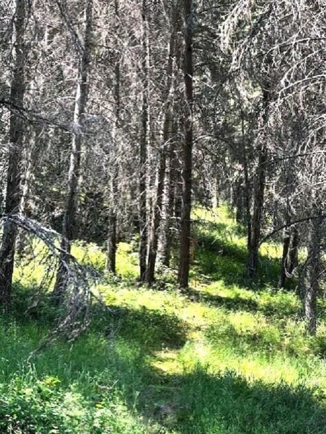 1599 Coyote Way, Evans, WA 99126 - view of wooded area