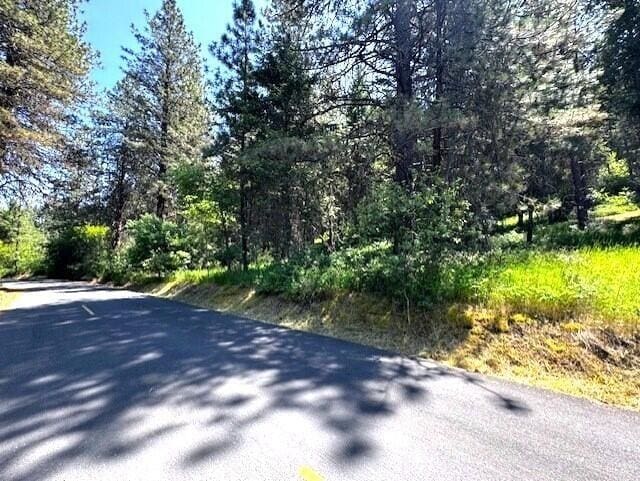 1599 Coyote Way, Evans, WA 99126 - view of asphalt road featuring a wooded view