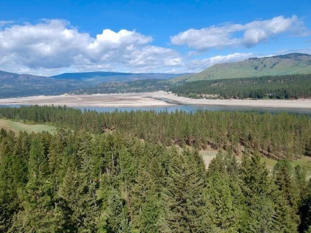 1599 Coyote Way, Evans, WA 99126 - mountain view with a forest and a nearby body of water