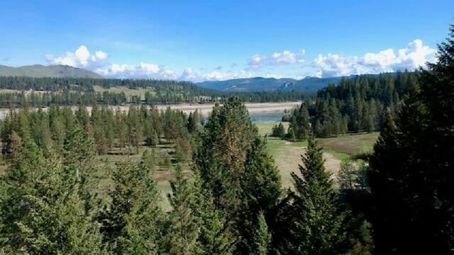 1599 Coyote Way, Evans, WA 99126 - mountain view featuring a heavily wooded area