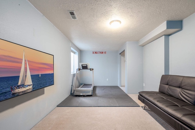 5622 E Sheffield, Colbert, WA 99005 - exercise area with carpet flooring and a textured ceiling