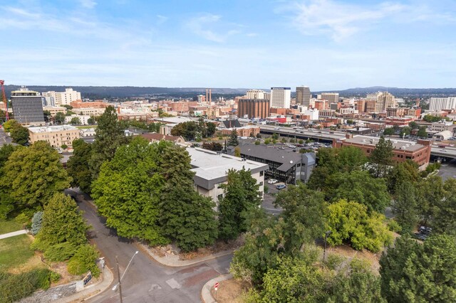 214 W 6th Ave Apt 201, Spokane, WA 99204 - view of urban area