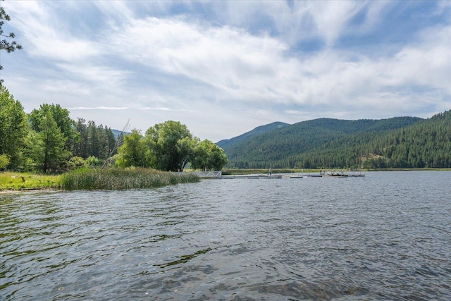 2008 S Zephyr Rd, Liberty Lake, WA 99019 - water view with a mountain backdrop