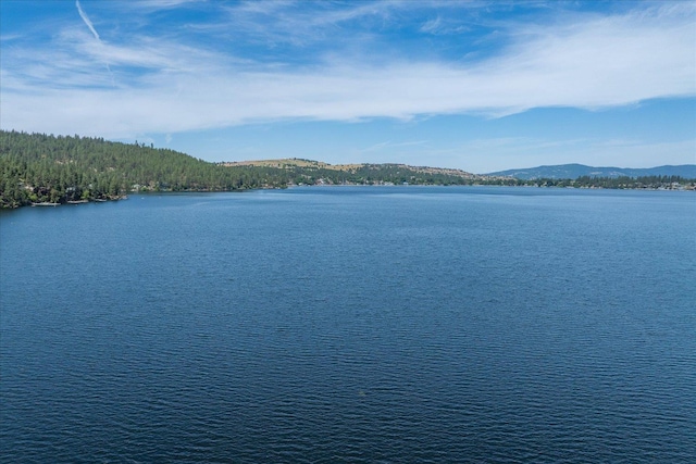 2008 S Zephyr Rd, Liberty Lake, WA 99019 - water view with a mountainous background