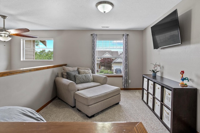 2813 S Steen Ln, Greenacres, WA 99016 - sitting room with ceiling fan, carpet floors, and a textured ceiling