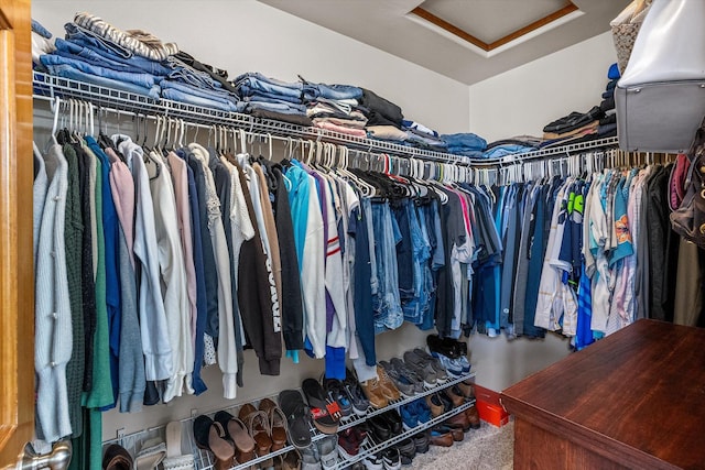 2813 S Steen Ln, Greenacres, WA 99016 - spacious closet featuring carpet