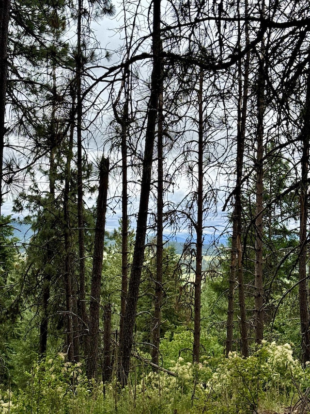 Listing photo 8 - caption unavailable