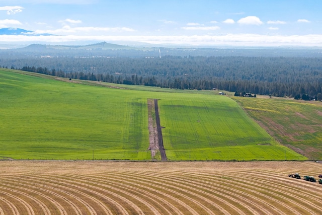 15125 S Andrus Rd Lot # 4, Cheney, WA 99004 - photo 5