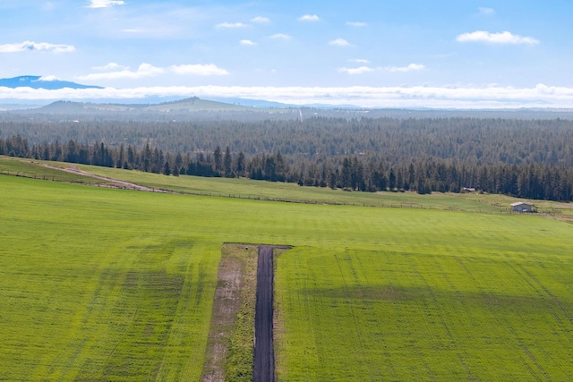 15125 S Andrus Rd Lot # 4, Cheney, WA 99004 - photo 7