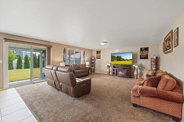 9713 W Sage Ct, Cheney, WA 99004 - living area featuring a warm lit fireplace and carpet flooring