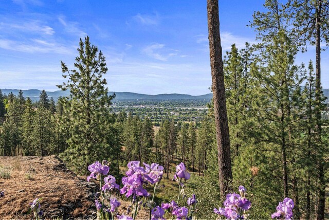 5647 N Fruit Hill Rd, Spokane, WA 99217 - photo 42