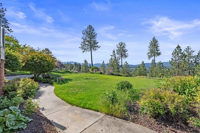 5647 N Fruit Hill Rd, Spokane, WA 99217 - photo 43